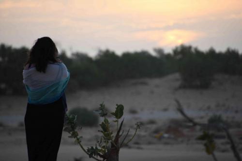 DSC_2717 (2)