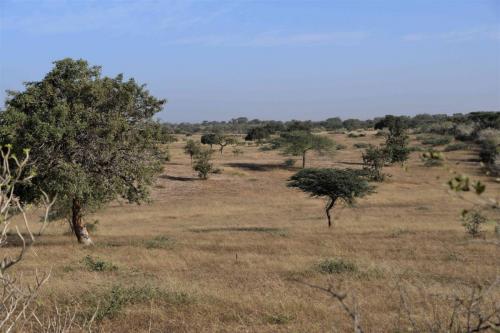 DSC_2724-1 (2)