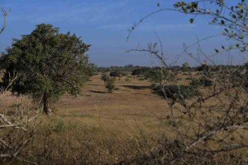 DSC_2727-1 (2)