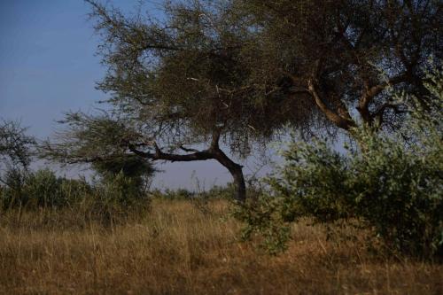 DSC_2734-1 (2)