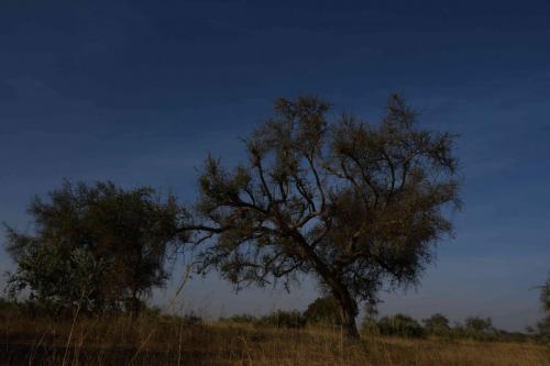 DSC_2740 (2)