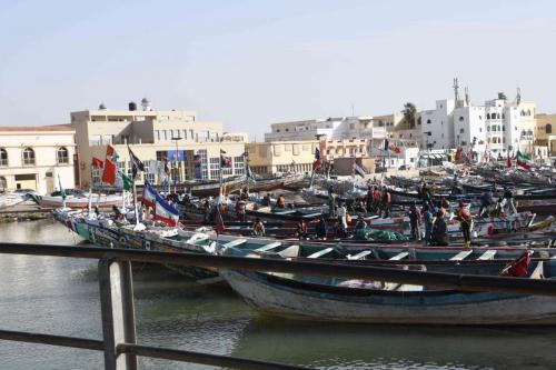 DSC_2777 (2)