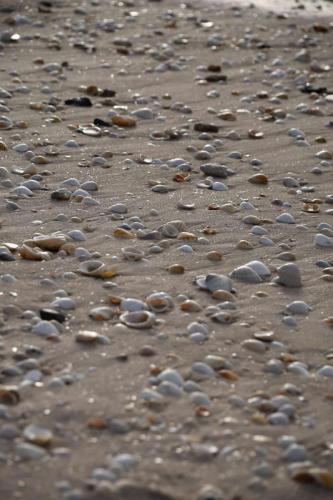 DSC_3521 (2)