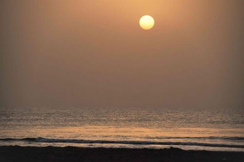 DSC_3560-1 (2)