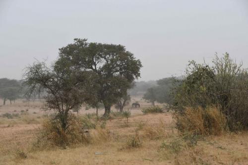 DSC_3581 (2)