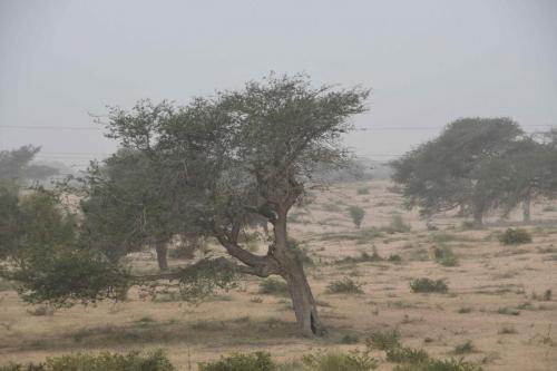 DSC_3582 (2)