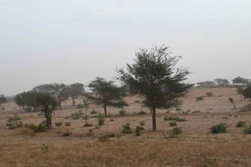 DSC_3590 (2)