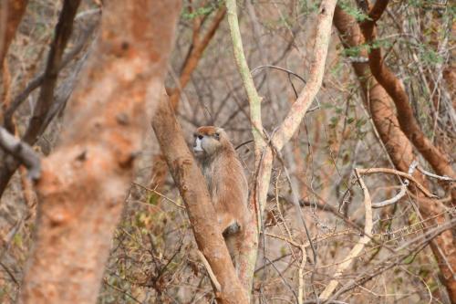 DSC_3754 (2)