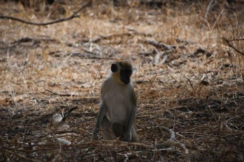 DSC_4004 (2)