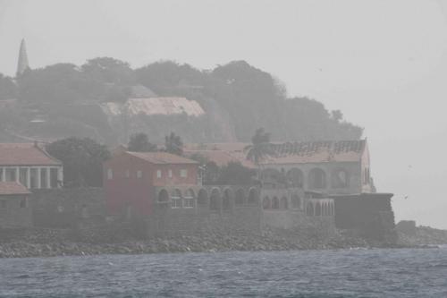 DSC_4622 (2)