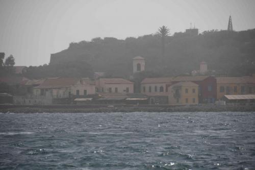 DSC_4651 (2)