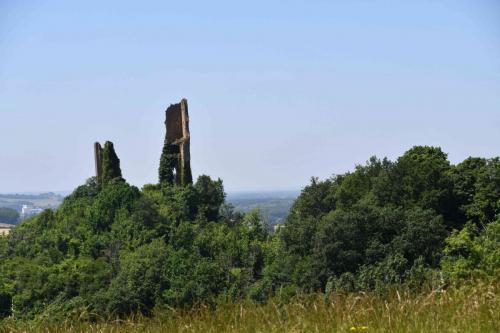 DSC_5067 (2)