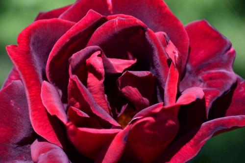 DSC_5068 (2)