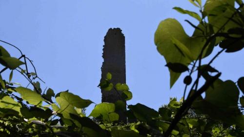 DSC_5077 (2)