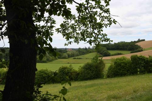 DSC_5091 (2)