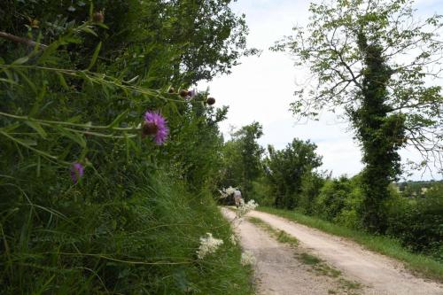 DSC_5092 (2)