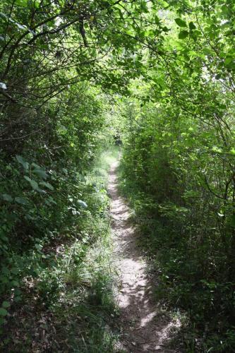 DSC_5096 (2)