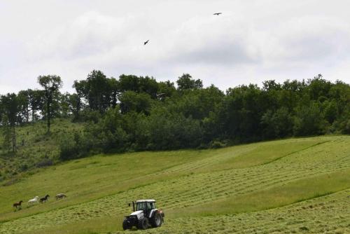 DSC_5102-1 (2)
