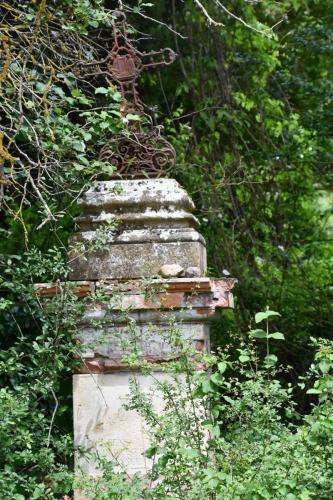 DSC_5108 (2)