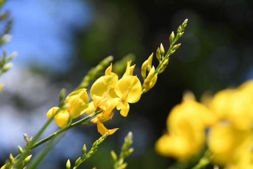 DSC_5152 (2)