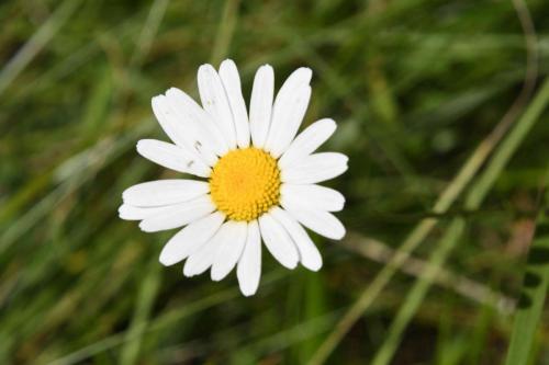 DSC_5157 (2)