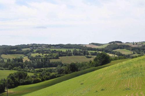 DSC_5170 (2)