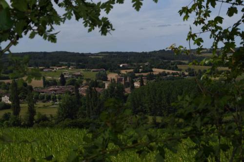 DSC_5190 (2)