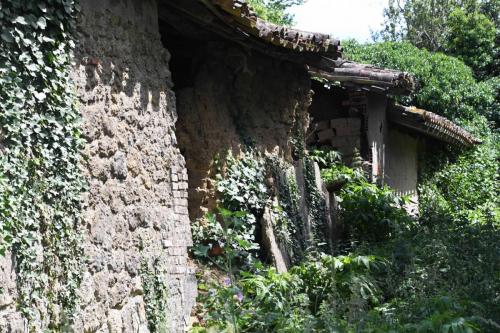 DSC_5196 (2)