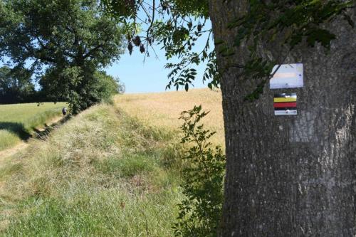 DSC_5235 (2)