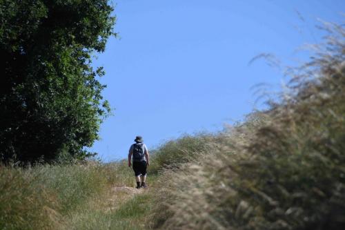 DSC_5238 (2)