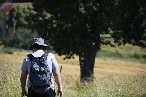 DSC_5250 (2)