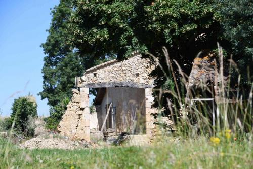 DSC_5256 (2)