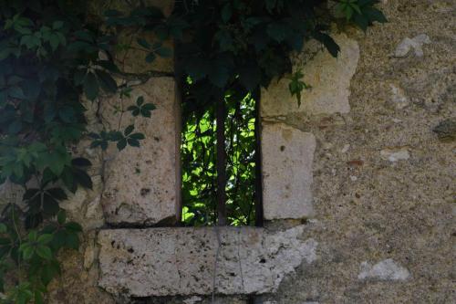 DSC_5265 (2)