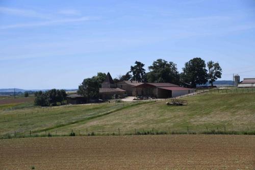 DSC_5279 (2)