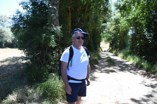 DSC_5290 (2)