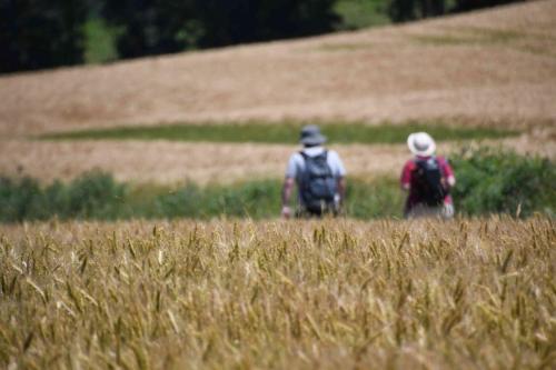 DSC_5359 (2)
