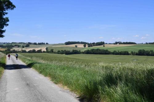 DSC_5361 (2)