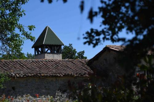 DSC_5367 (2)