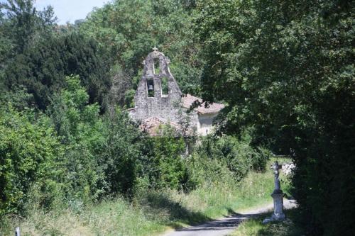 DSC_5378 (2)