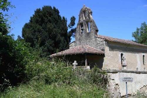DSC_5380 (2)