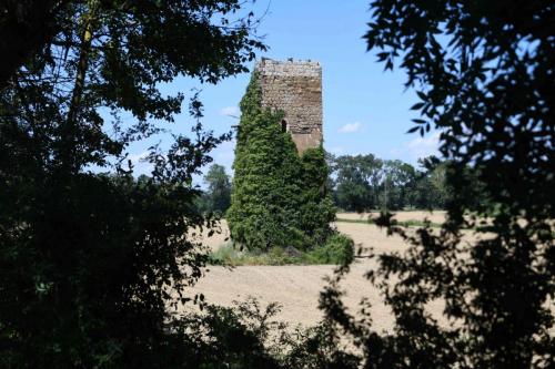 DSC_5401 (2)