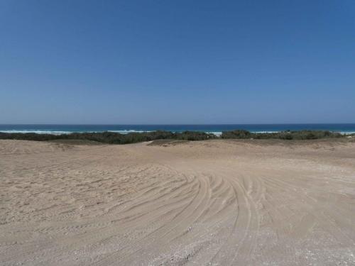 P1000367 (2)