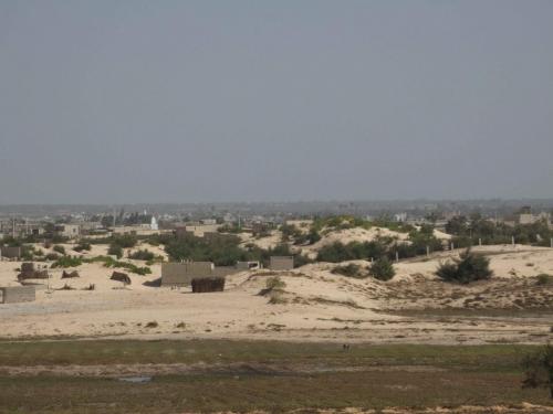 P1000372 (2)